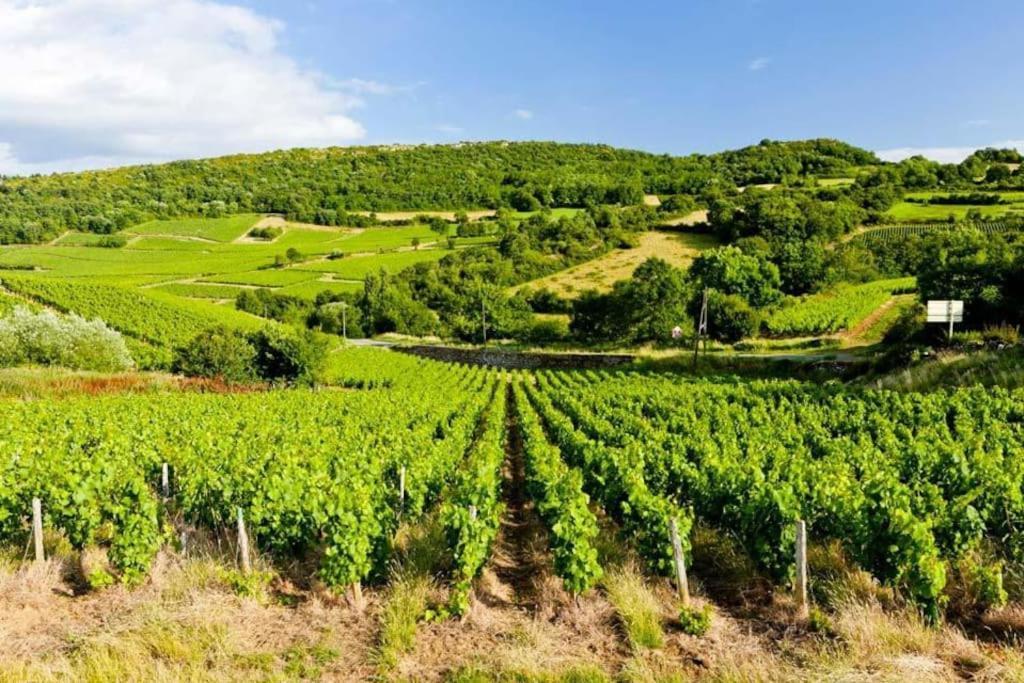 La Dolive - Locationtournus Tournus
